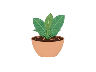 illustration of plant in a pot