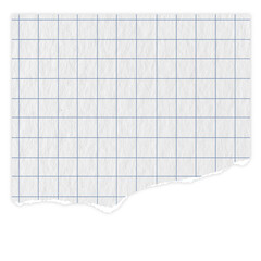 grid paper blue lines Graph ripped message torn paper edge sheet strip page header decoration collage for  message note  page or banner cardboard blank memo 