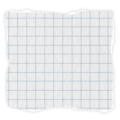 grid paper blue lines Graph ripped message torn paper edge sheet strip page header decoration collage for  message note  page or banner cardboard blank memo 