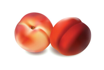 two peach fruits isolated on white background