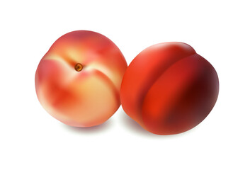 two peach fruits isolated on white background