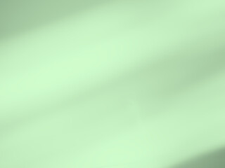 Shadow Effect Background Mockup Black Green Frame Reslistic Shade Gray Leaf Overlay Leaves Tree Tropic summer Plant Light White Floor Abstract Sunlight Backdrop Minimal Mockup 3d Bg Wall Nature Scene.