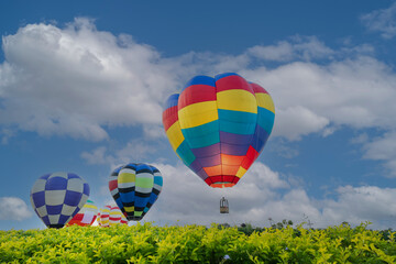 Obraz premium Colorful hot air balloons flying over green tree on blue sky background in nation park.Hot air balloon festival travel concept.