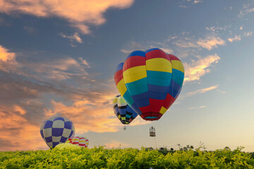 Obraz premium Colorful hot air balloons flying over green tree on blue sky background in nation park.Hot air balloon festival travel concept.
