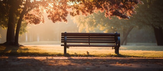 Morning sunlight illuminates a bench in the park
