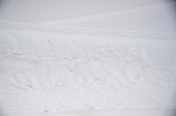 雪面 © ふわしん