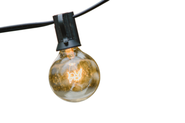 A bright electric lamp illuminates the green nature, creating a captivating scene, isolated on white background.