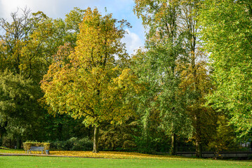 Fototapeta premium Herbstzeeit in Velen im Münsterland