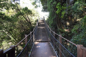 Obraz premium 吊橋