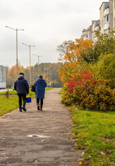 Shot of the colorful autumn trees. Season