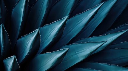 closeup agave cactus, abstract natural pattern background and textures, dark blue toned