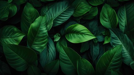  green leaves background