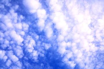 青空と雲が湧くような空模様