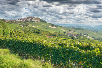 Fototapeta na wymiar famous Wine Village of La Morra close to Barolo,Piedmont,Italy