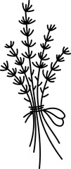 Vector lavender line icon. Beautiful garden flower black and white illustration or coloring page.