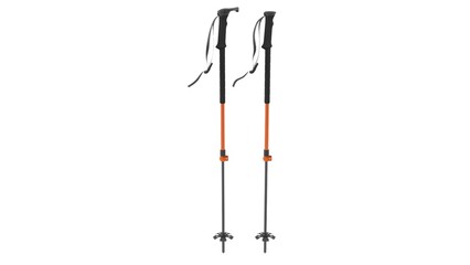 ski poles