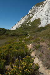 Samphire Hoe