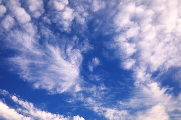 青空と雲が湧くような空模様