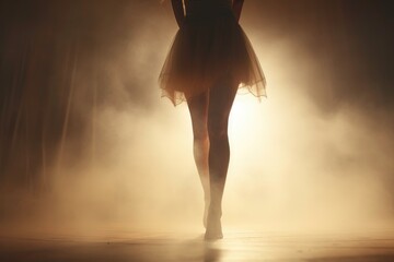 Close up of Female ballet dancer on the stage.
 - obrazy, fototapety, plakaty