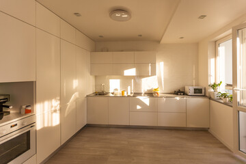 Kitchen with light walls, white furniture and shelves with crockery and plants in pots, small refrigerator in dining room scandinavian design, empty space. Modern interior with sunbeams on the floor