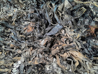 Close up of a Burning fall leaves in the incinerator. White smoke and Ashes left over from burning rubbish.