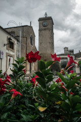 Fototapeta na wymiar View of red flowers against medieval church and cloudy sky