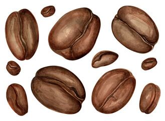Coffee beans - hand-drawn watercolor set of beans. Illustration. Transparent background. PNG.
