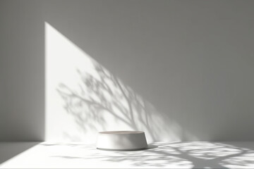 Pedestal for display,Platform for design,Blank product,Empty room with Tree shadow on the wall