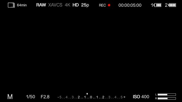 Camera Recording Screen On Alpha