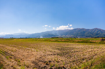 秋の信州　爽やかな田園風景　