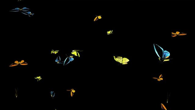 Group of Colorful Flying Butterflies - Animated Video 4k