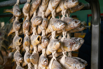 Korea fish food dried yellow corvina