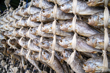 Korea fish food dried yellow corvina