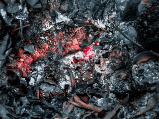 Close up of a Burning fall leaves in the incinerator. White smoke and Ashes left over from burning rubbish.