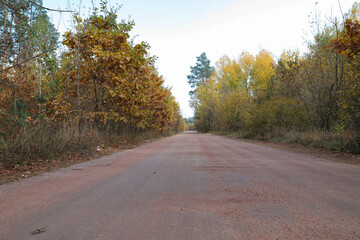 asphalt road in the middle of the autumn forest, colorful trees in autumn