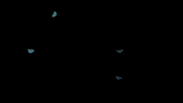 Group of flying blue butterflies. 4k. Animated Video.