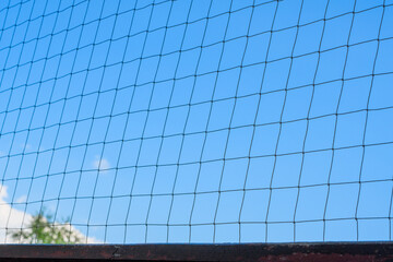 Siatka zabezpieczająca balkon dla kota przed wypadnięciem © Paweł Kacperek