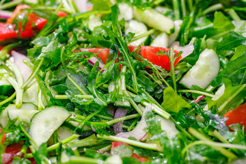 Salad vegetarian of arugula cucumbers and tomatoes, close-up, selective focus