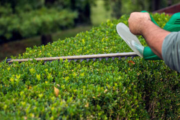 Trimming the Bushes