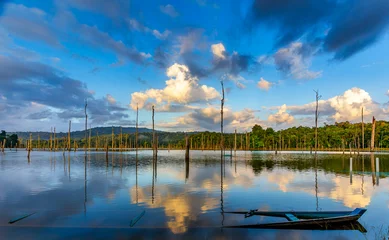 Fototapeten Brokopondo lake reservoir amd Ston Island in Suriname, South America © Rene