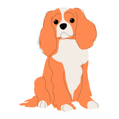 King Charles Spaniel isolated on white background. Purebred dog hand drawn flat design.