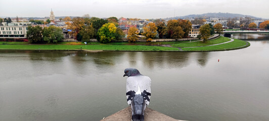 Panorama Krakowa z perspektywy gołębia - obrazy, fototapety, plakaty
