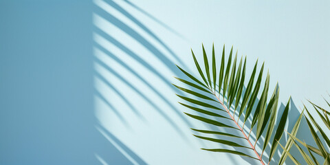 blue background with palm branches for cosmetics demonstration or a banner for a travel company