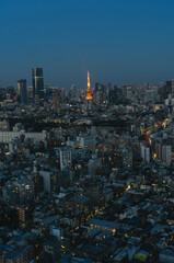 東京の夜景