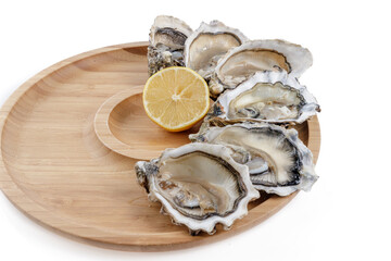 fresh appetizing oysters on white background 1