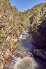 course of a fast river between trees in the mountains with blue sky