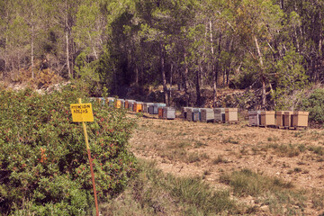 bee hives in colorful wooden boxes in the middle of nature with a warning sign