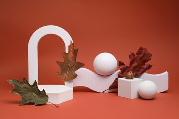 Autumn presentation for product. Geometric figures, acorn and dry leaves on terracotta background