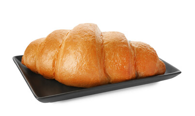 Plate with delicious fresh croissant isolated on white