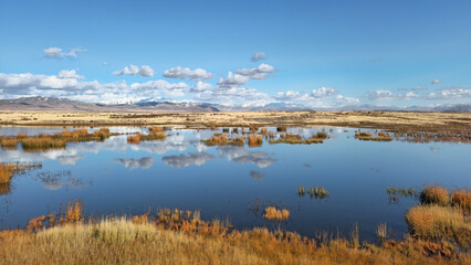 Panoramic landscape in a nature reserve. Blue water surface, flood meadows with the reflection of...